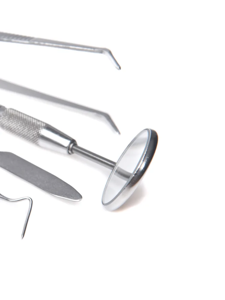 アイアイ矯正菌科